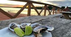 Happy hour at Portal das Ostras