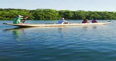 Canoe ride through the mangroves